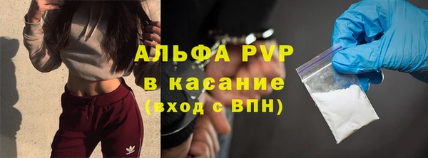 стафф Богородицк
