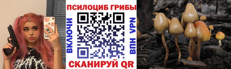 Псилоцибиновые грибы прущие грибы Буинск